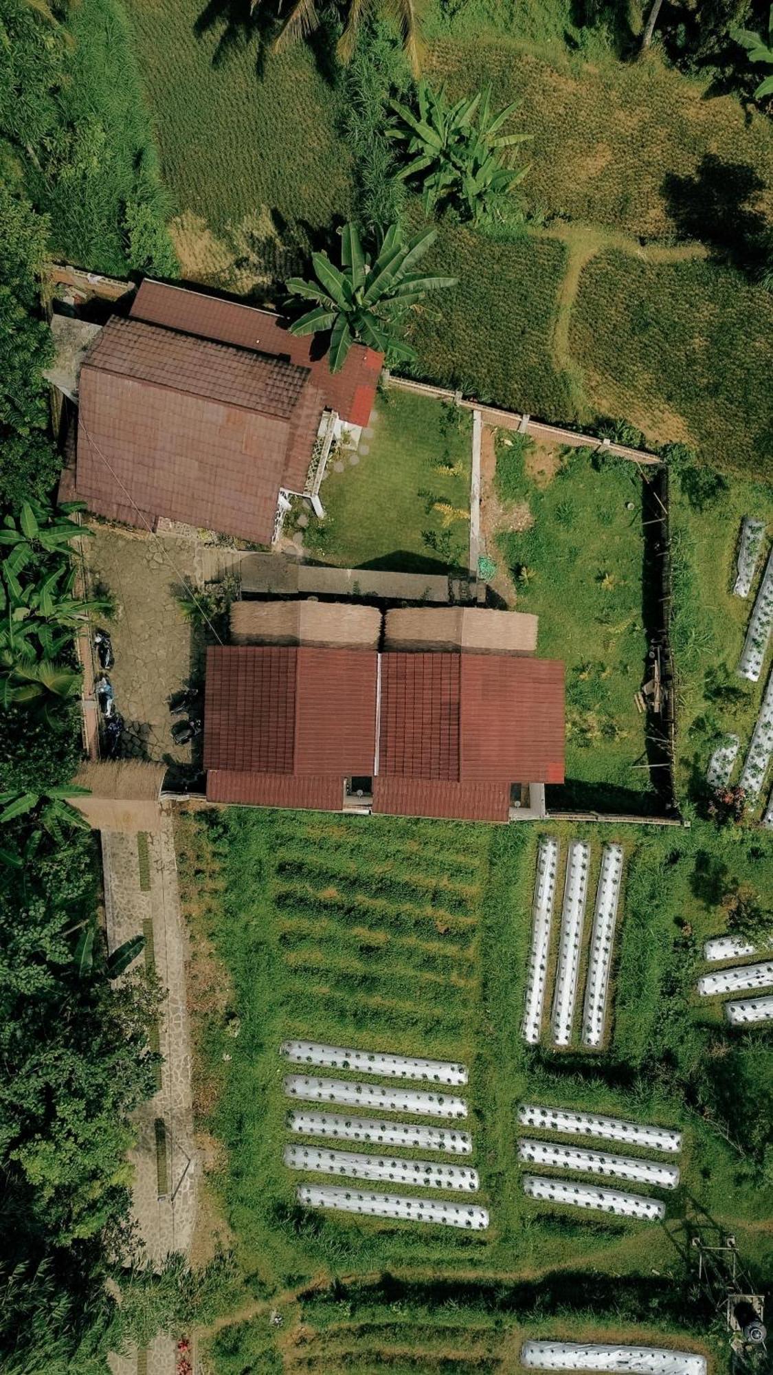 Hotel Alora House Lombok Tete Batu Tetebatu Exteriér fotografie