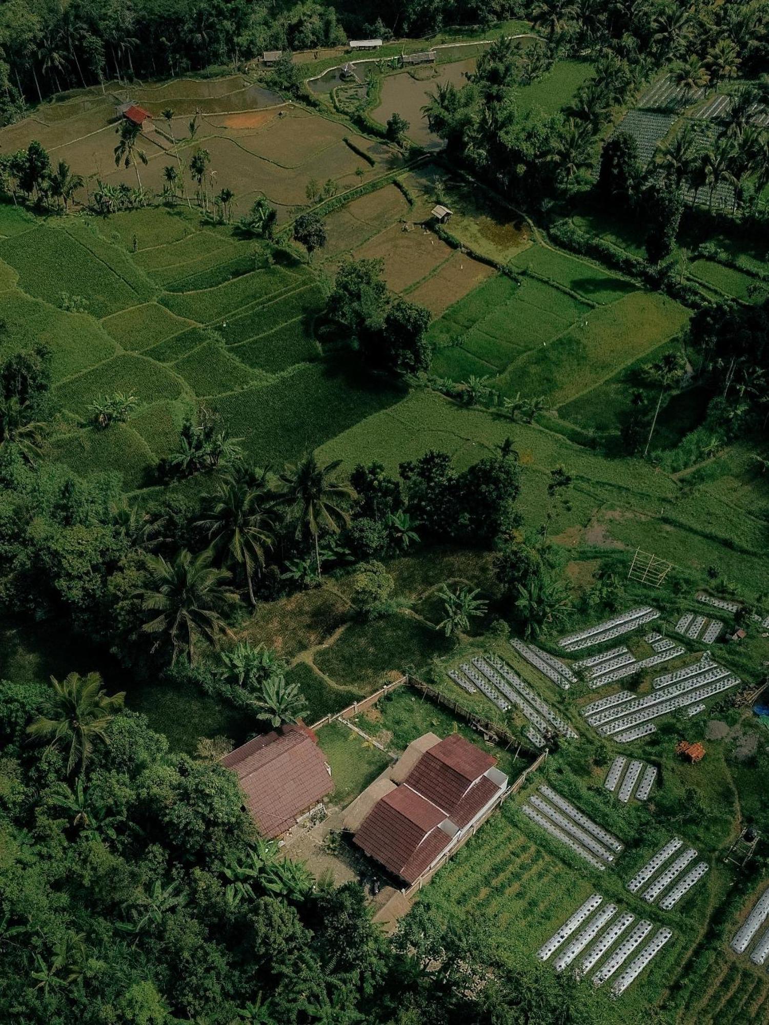 Hotel Alora House Lombok Tete Batu Tetebatu Exteriér fotografie