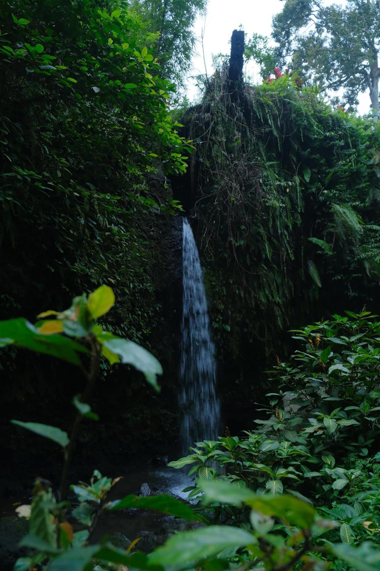 Hotel Alora House Lombok Tete Batu Tetebatu Exteriér fotografie